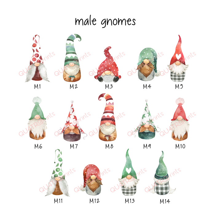 Personalized Family Gnomes